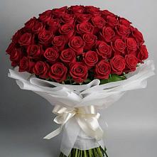 Букет 101 Красная роза Блэк Мэджик в Нижнетроицкий