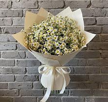 Букет цветов из:  Ромашки #REPLACE_PRED# Нижнетроицкий