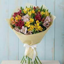 Букет цветов из:  Альстромерии в Нижнетроицкий